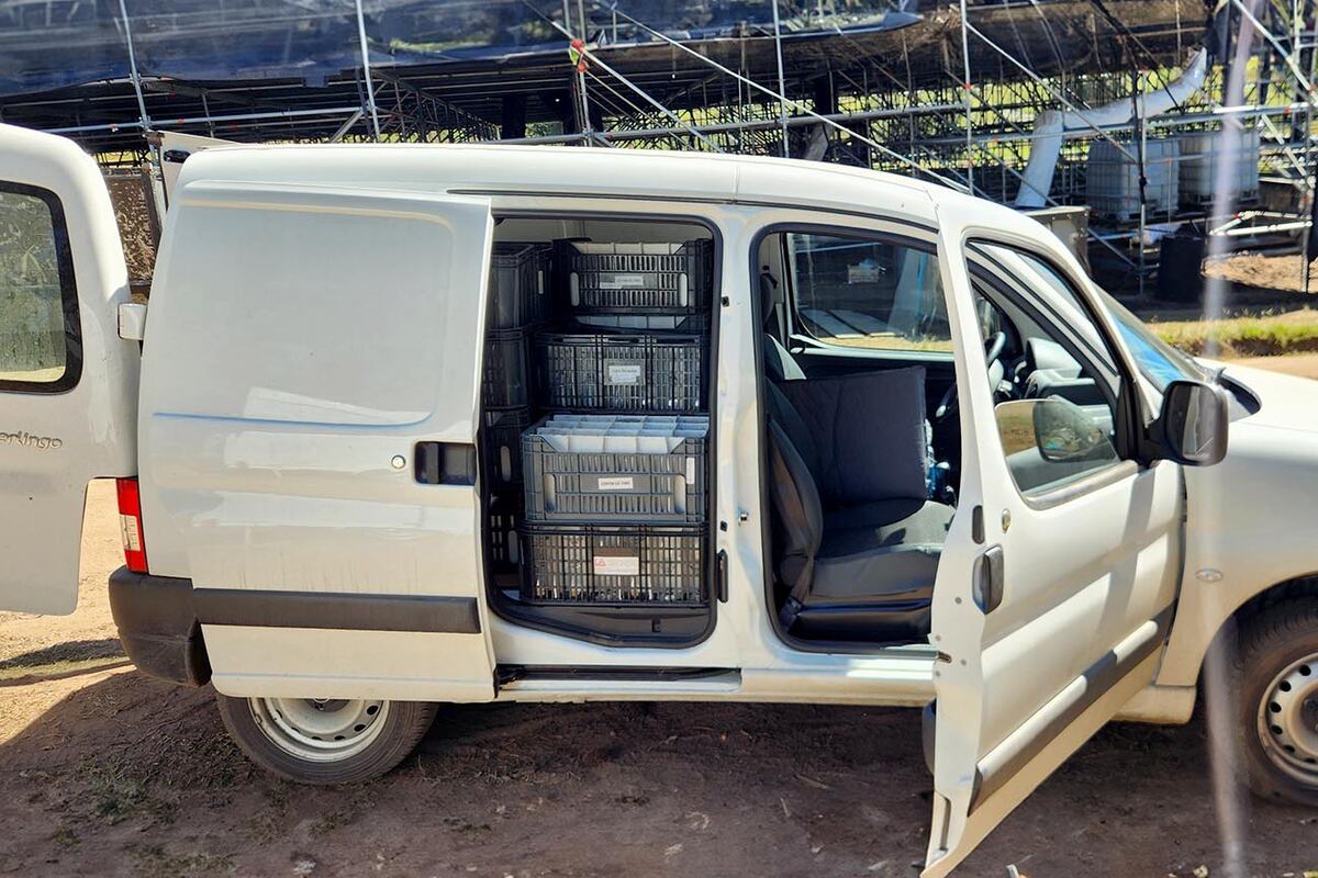 El Citroën Berlingo y el Peugeot Partner son de los vehículos más longevos que se venden en Argentina, sin que hayan recibido actualizaciones importantes.