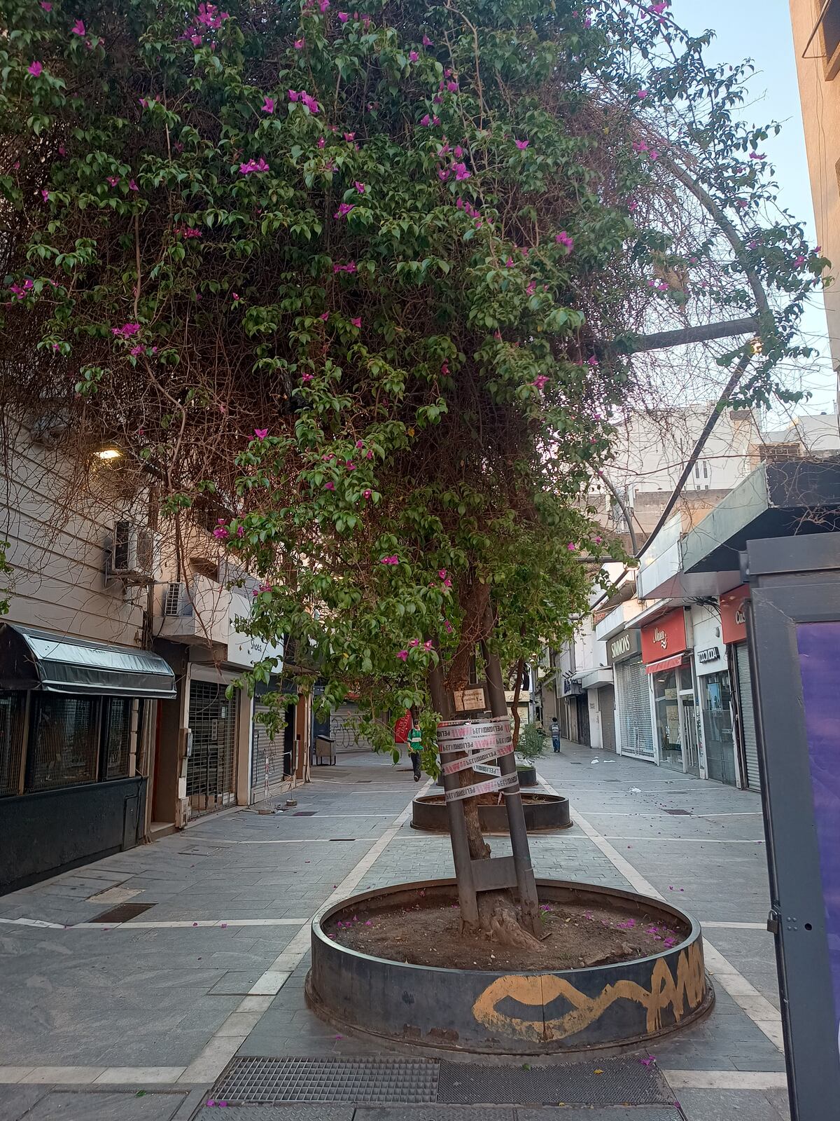 La pérgola de 9 de Julio y Tucumán, inclinada (Diego Marconetti)