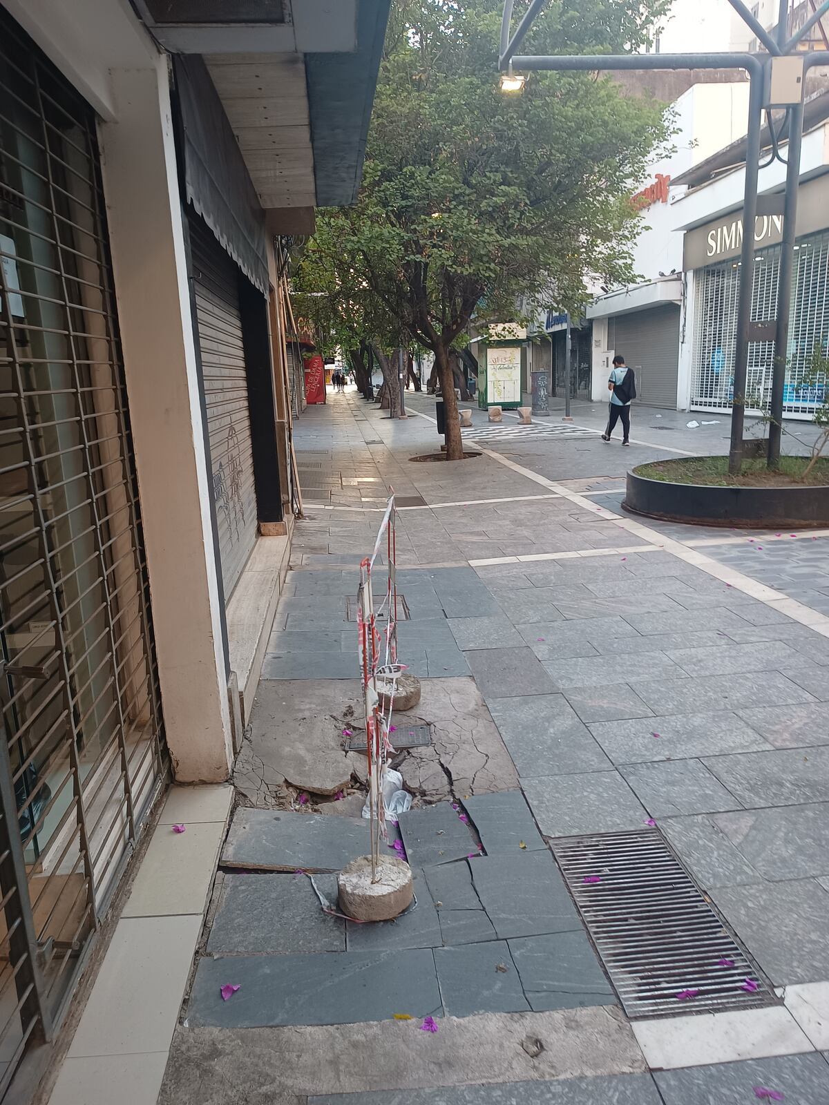 Un hundimiento en la Peatonal, en calle 9 de Julio (Diego Marconetti)