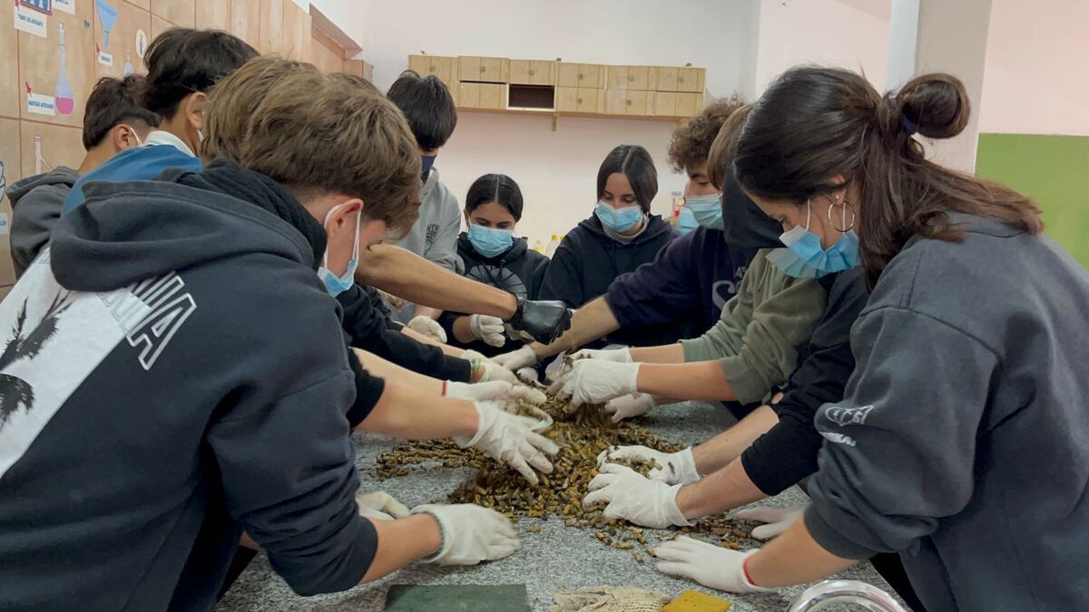 Estudiantes crearon agendas reciclando colillas de cigarrillos