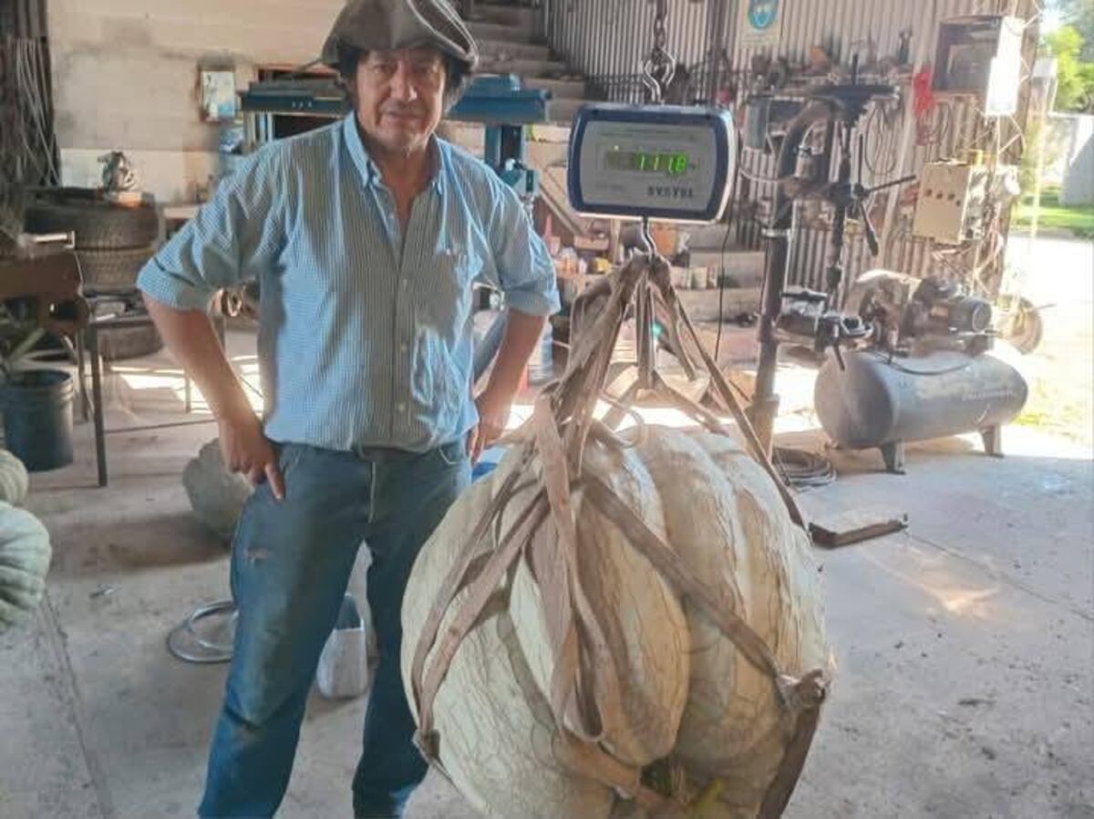 Alejandro Roca. Flores con su nueva cosecha (Gentileza).