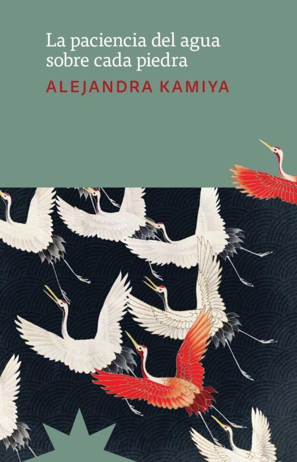 La paciencia del agua sobre cada piedra. De Alejandra Kamiya. Editorial Eterna Cadencia.