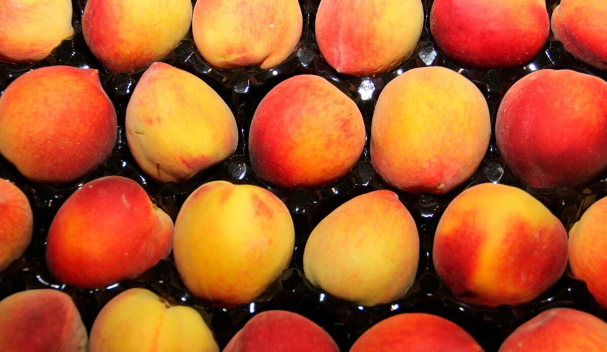 Superalimento de estación: por qué el durazno es clave para la salud y cuáles son sus beneficios