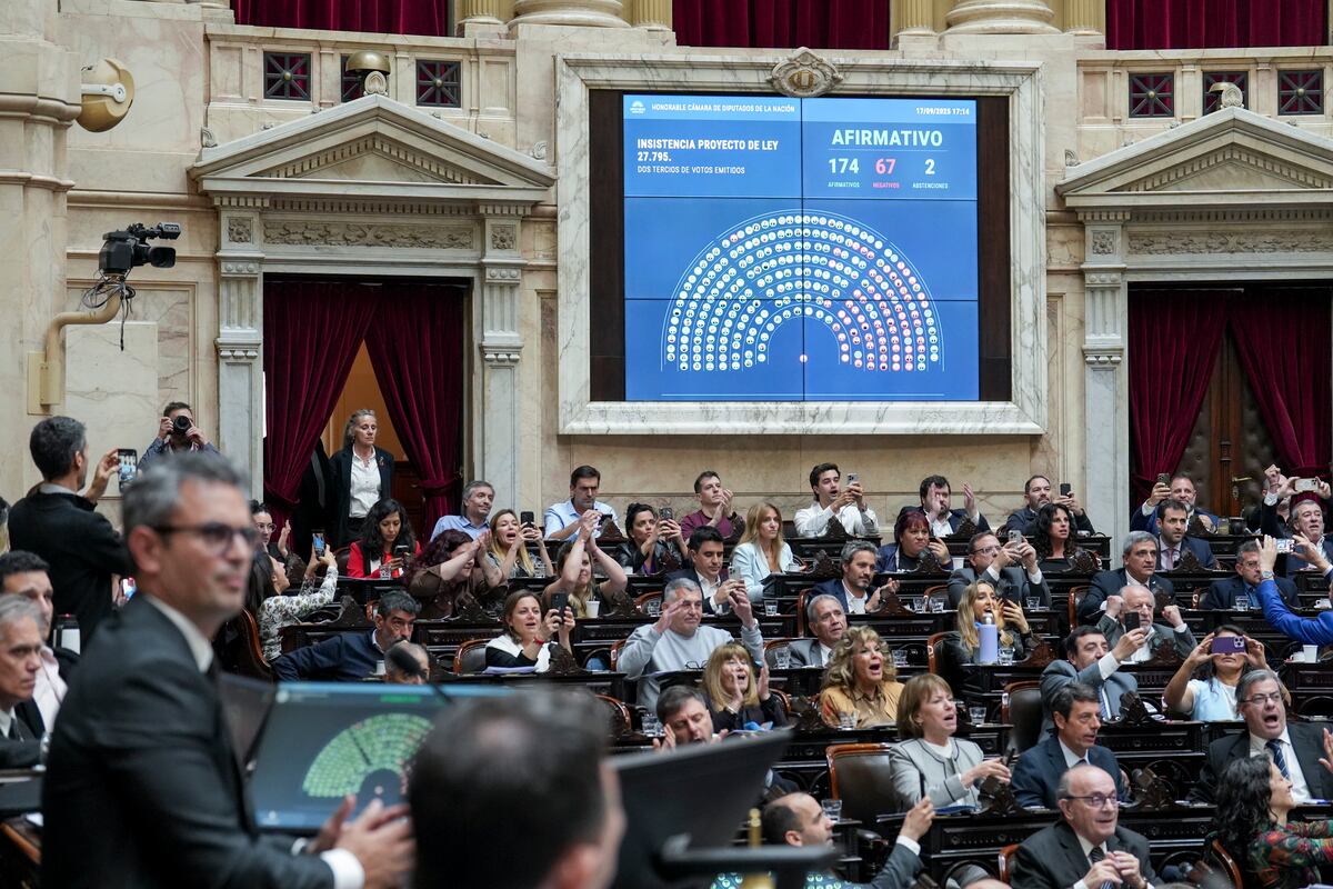 Diputados aprobó la insistencia del proyecto de Emergencia Sanitaria en la Salud Pediátrica y el proyecto de Ley de Financiamiento de la Educación Universitaria. (Corresponsalía)