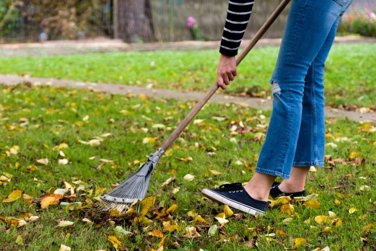 Aprendé a cuidar el césped de tu jardín esta temporada.