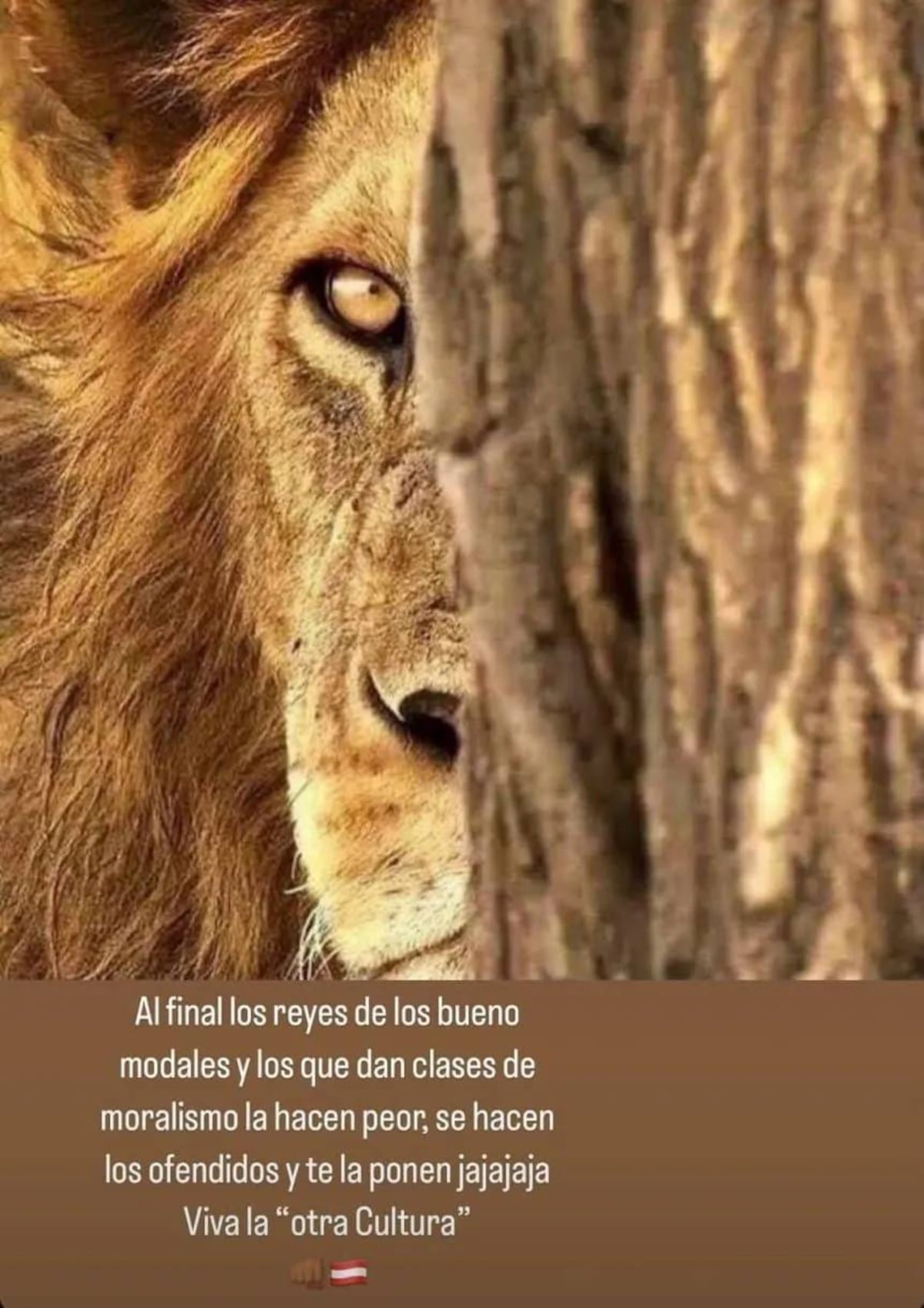 La historia que subió Verón contra Gallardo (Instagram)
