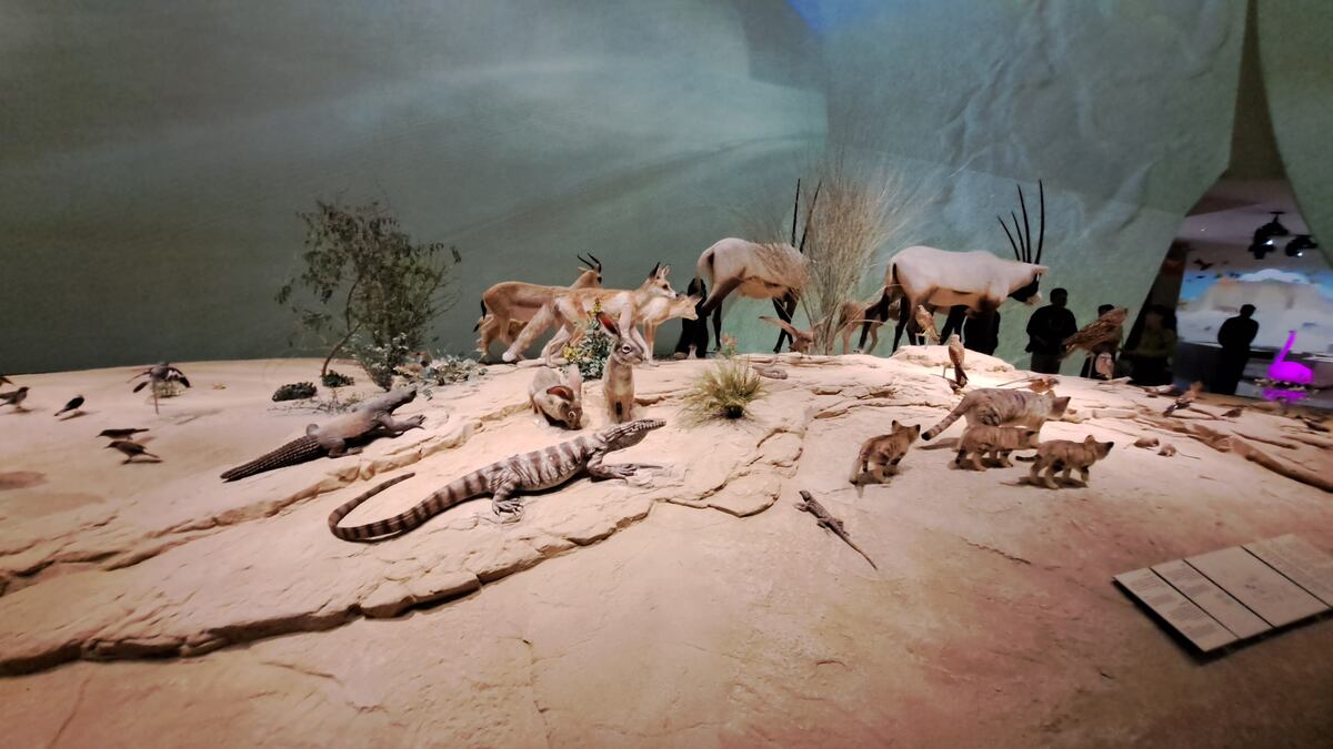 Recorrido de La Voz por el Museo Nacional de Qatar. (La Voz)