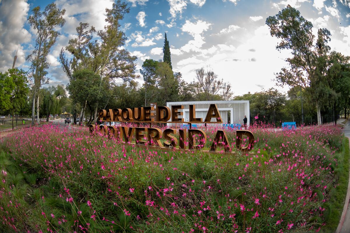 El Parque de la Biodiversidad ocupa 17 hectáreas que antes incluían el Jardín Zoológico. (Gentileza: Ente Bio Córdoba)