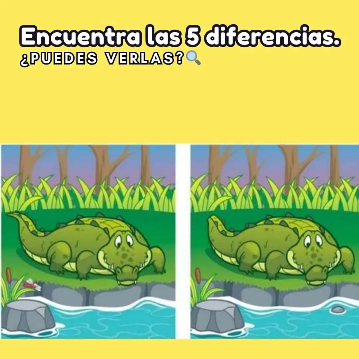 El desafío.