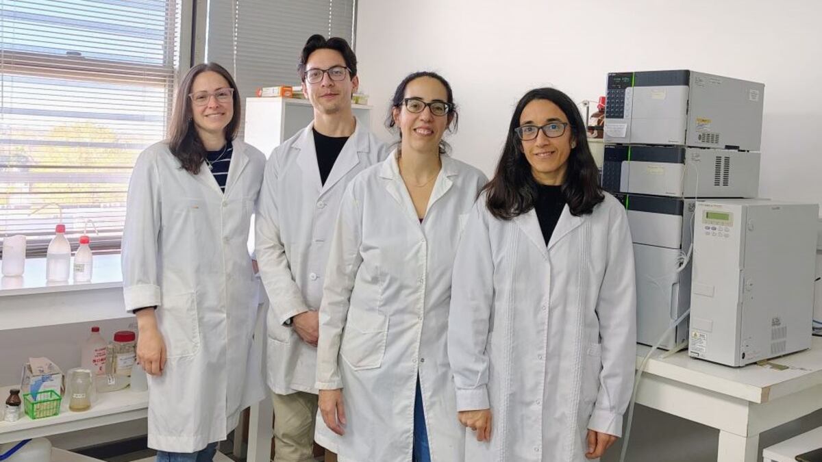 Equipo de investigación. De izquierda a derecha Mariana Serrano, Carlos A. Ardila Padilla, Mariana Vignoni y María Laura Dántola, el equipo a cargo de la investigación (Gentileza Conicet).