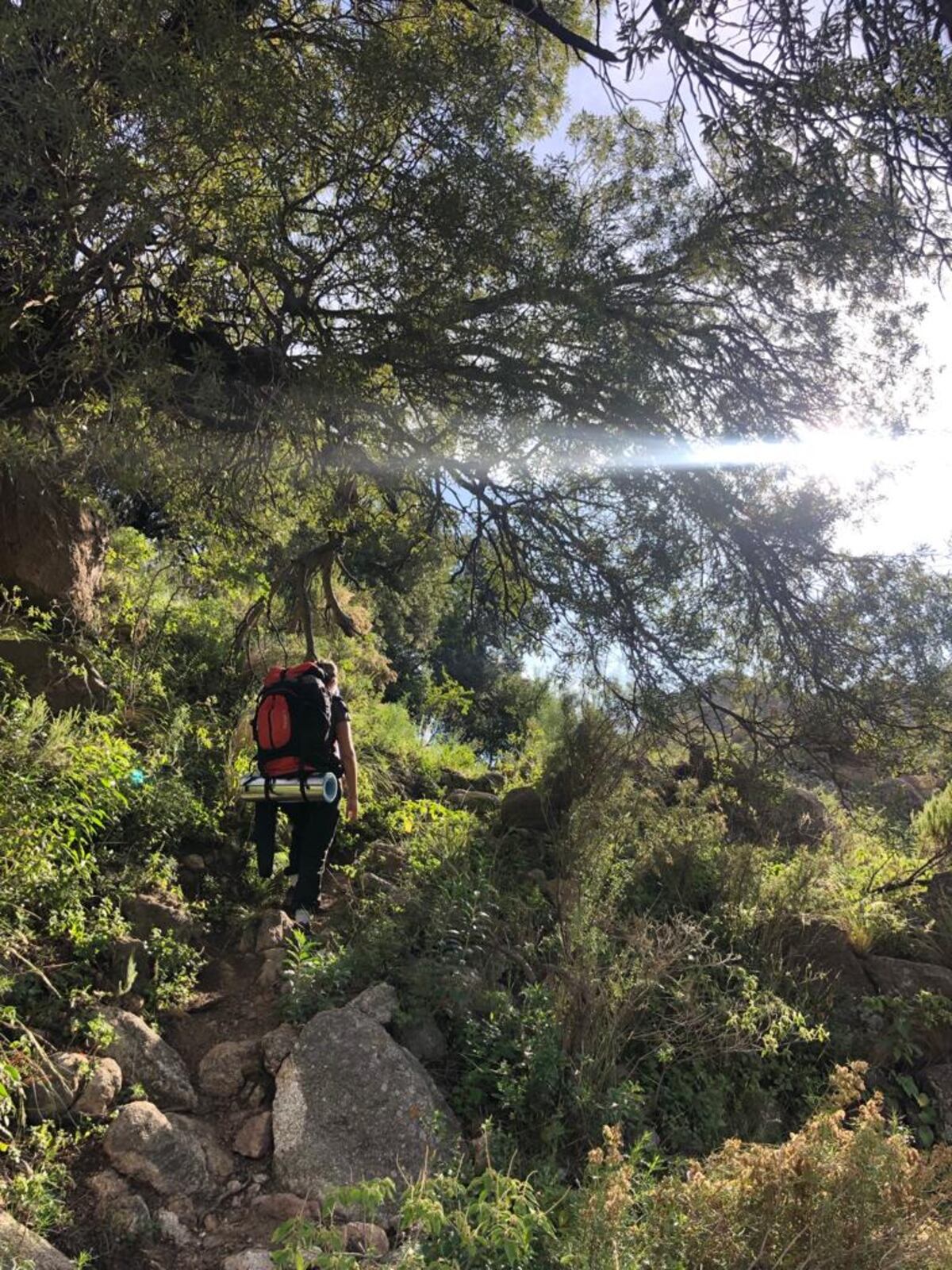 Camino a la Casita de Cristal, el destino elegido por los caminantes. (Gentileza: Romina Musso)
