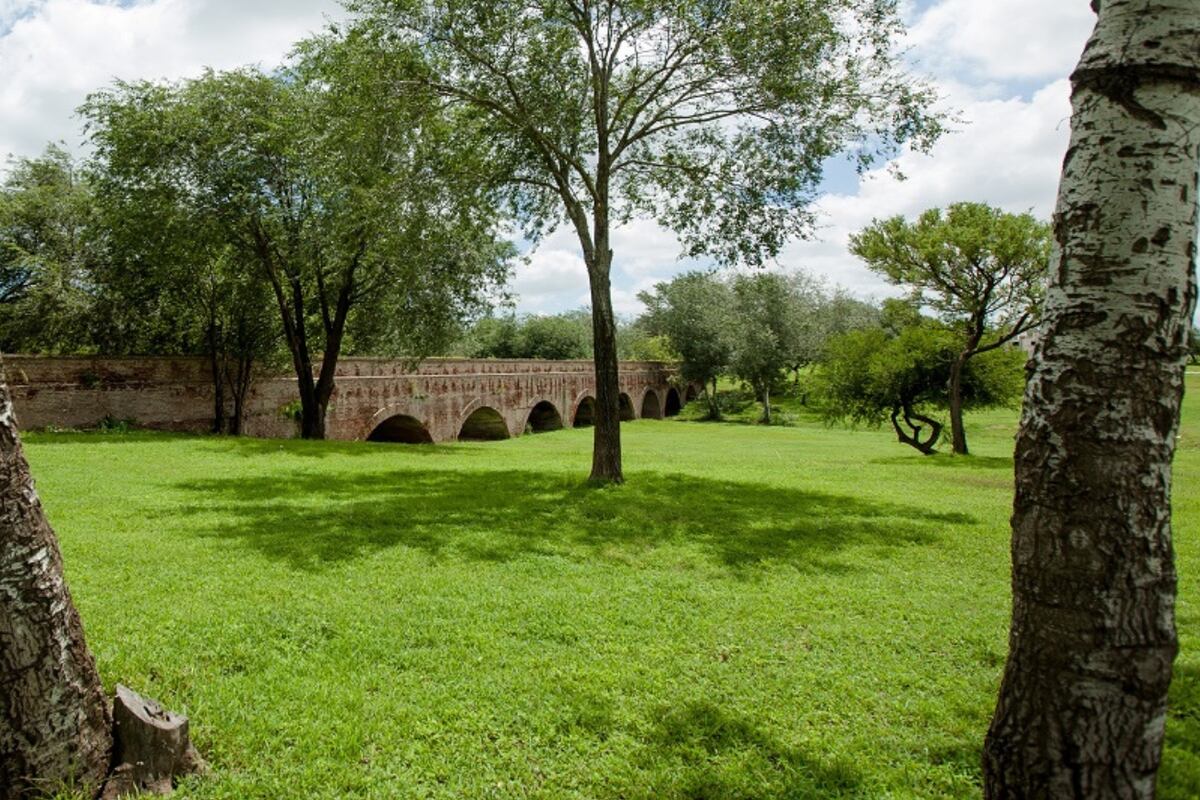 Los corredores ambientales conectan espacios verdes y mejoran el confort urbano.