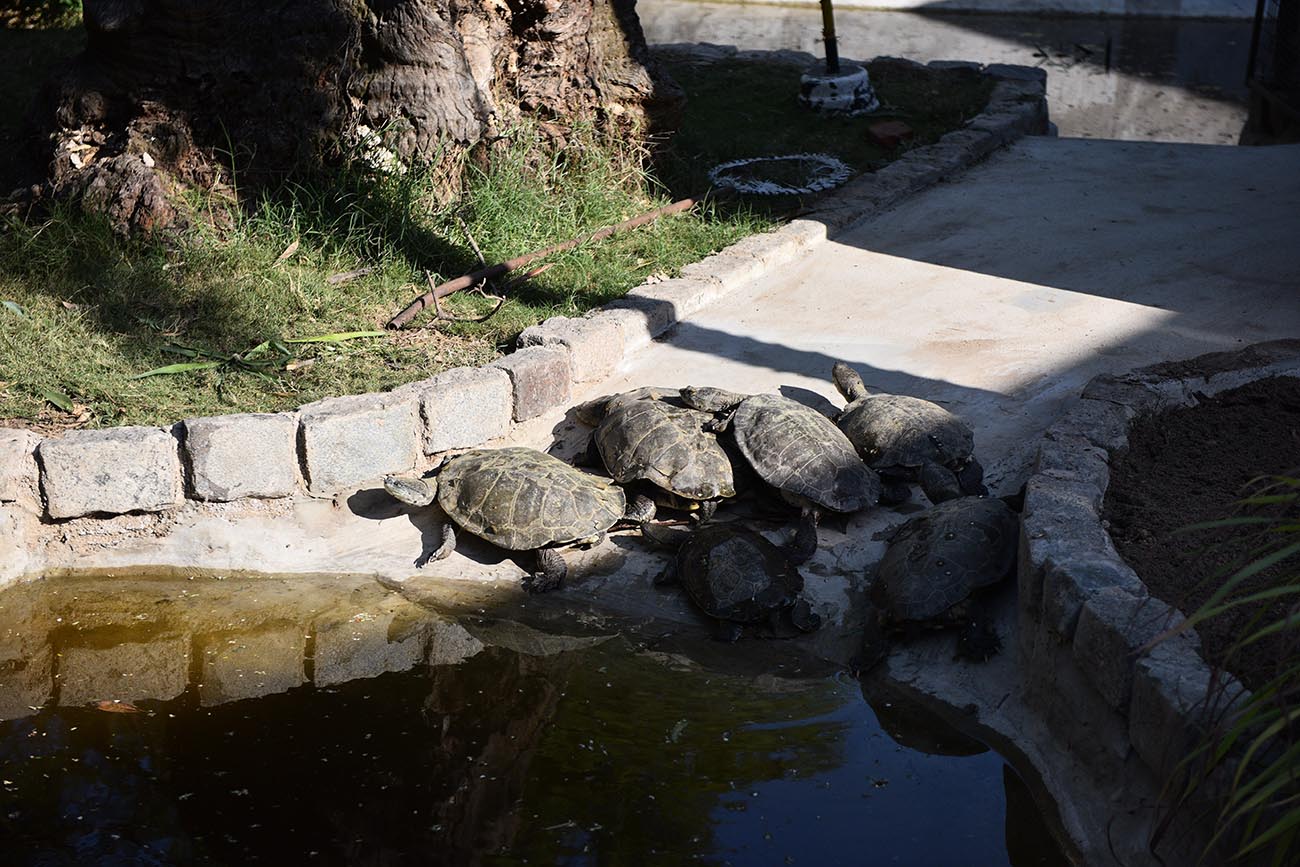 Parque de la Biodiversidad. Así va quedando la obra de reconversión del exzoo de la ciudad de Córdoba. (José Gabriel Hernández / La Voz)