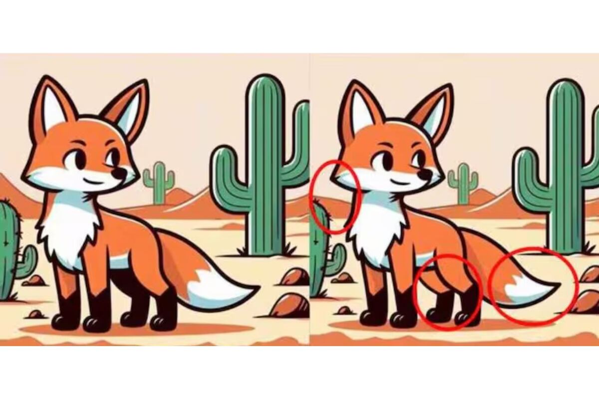 Acertijo visual - Solución