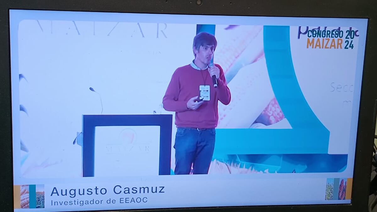 Augusto Casmuz