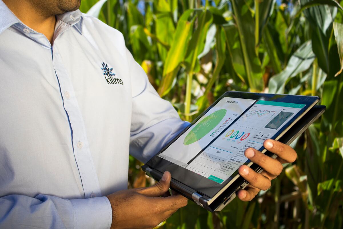 Kilimo, otra startup cordobesa que desarrolla tecnologías para que el agro administre el agua con más eficiencia. (La Voz / Archivo)