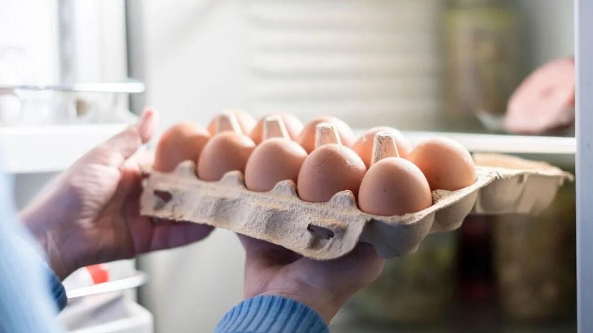 El consumo de huevos creció como reemplazo de proteínas ante la baja en la ingesta de productos lácteos. (La Voz)
