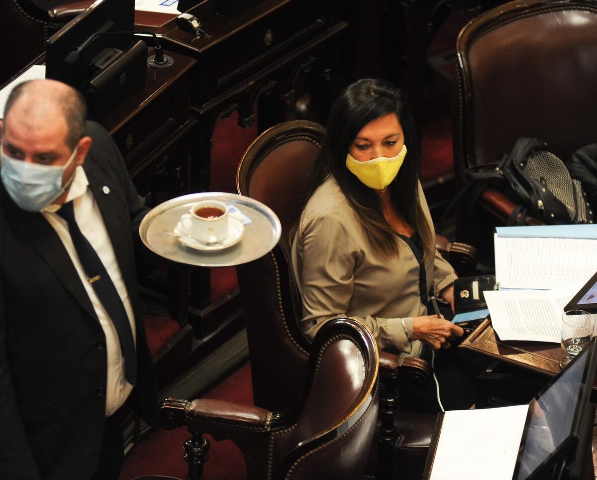Sesión especial del Senado. (Federico López Claro)