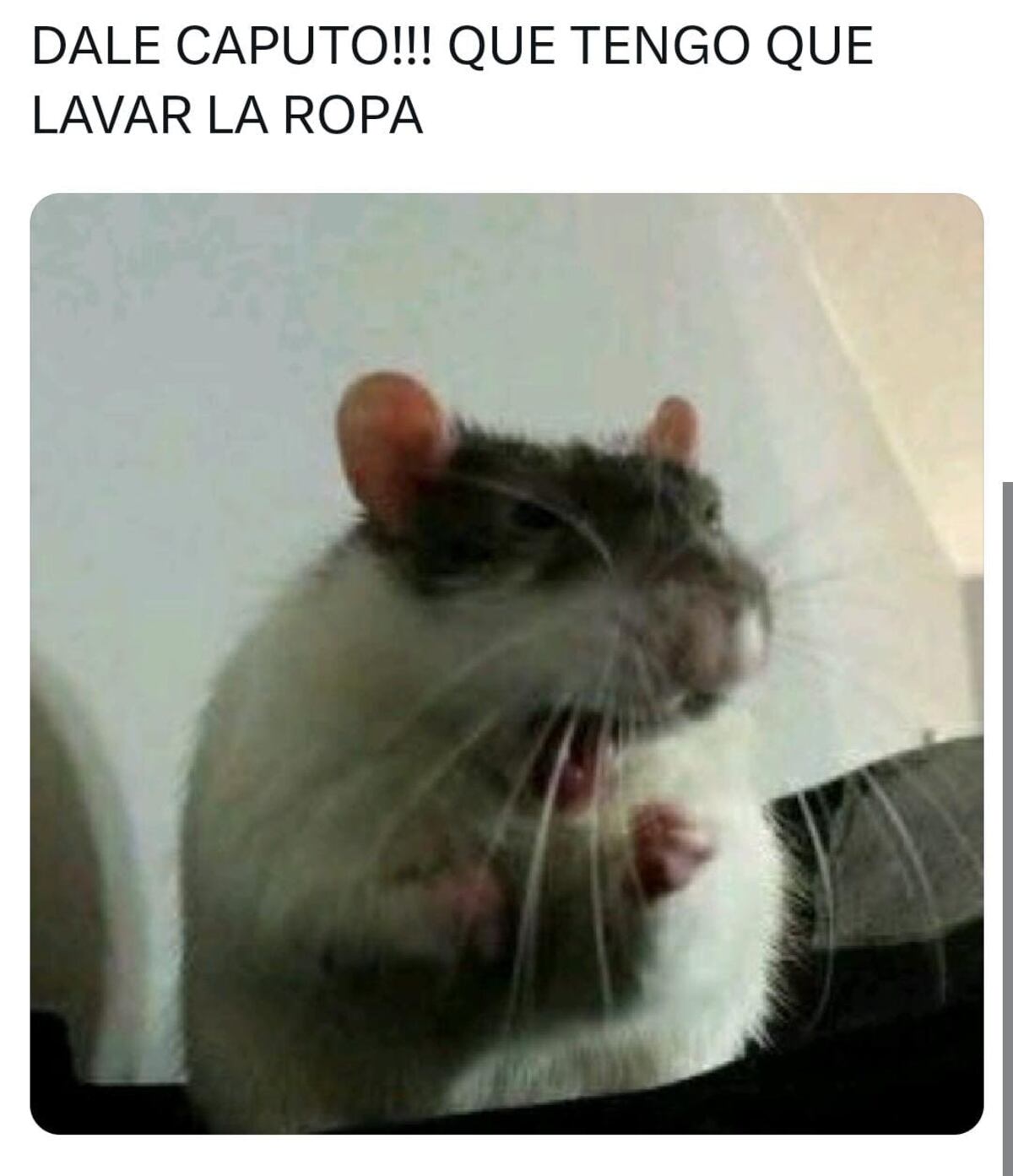 Los memes por la demora en el anuncio de las medidas económicas de Luis Caputo. (Gentileza: X)