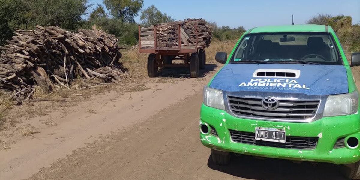 Un operativo de la Policía Ambiental de Córdoba por un desmonte ilegal, en el norte de la provincia. (Policía Ambiental)