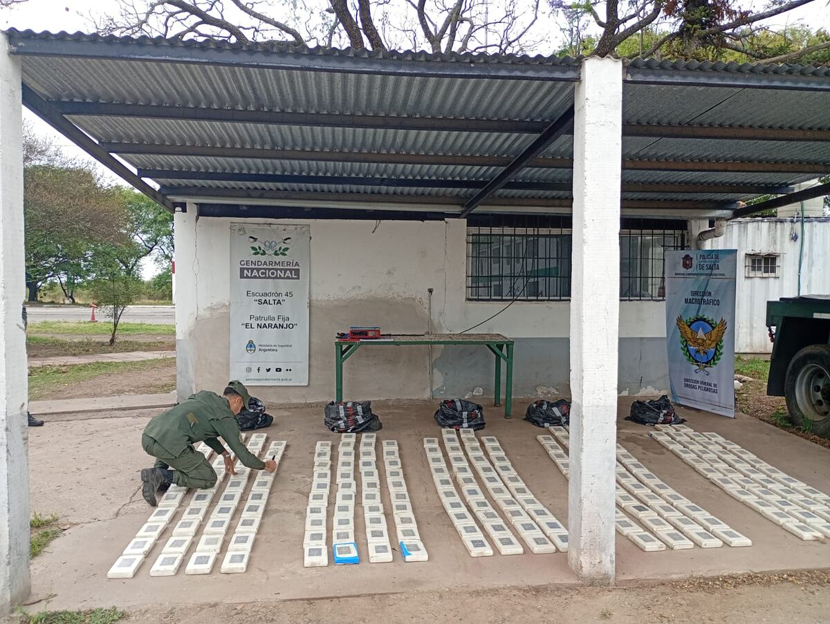 Hallaron una avioneta siniestrada que intentaba trasladar 364 kilos de cocaína, en Salta. (Gendarmería)