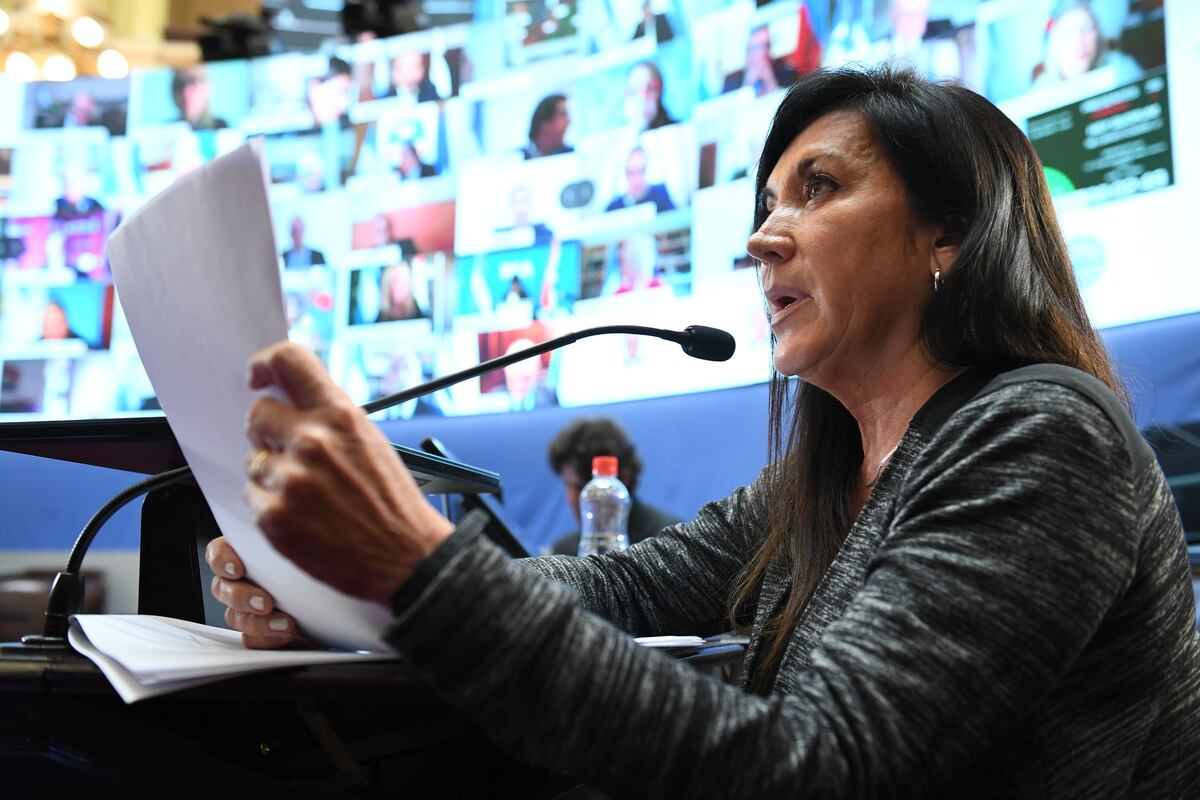 La Voz Chequea. Foto de Laura Rodríguez Machado adjunta en la galería de imágenes de la sesión del Senado en la que se aprobó la Ley de Alquileres Nº27.551 (11/6/2020).