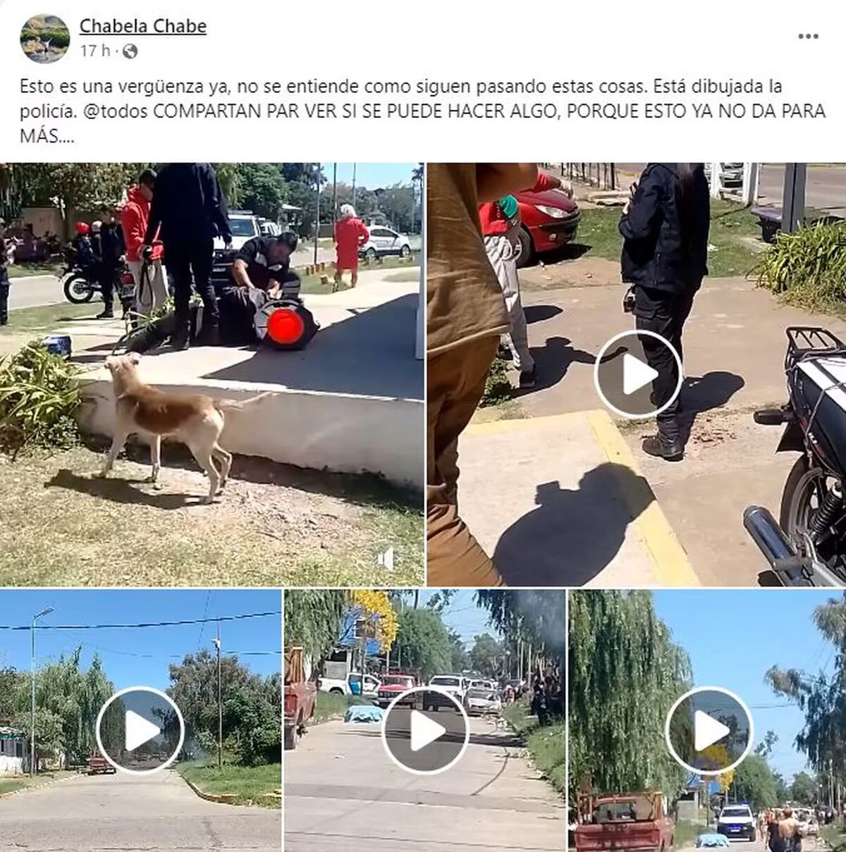 Quilmes. Fue a fotografiar la ribera y lo asesinaron de una puñalada. (Facebook)