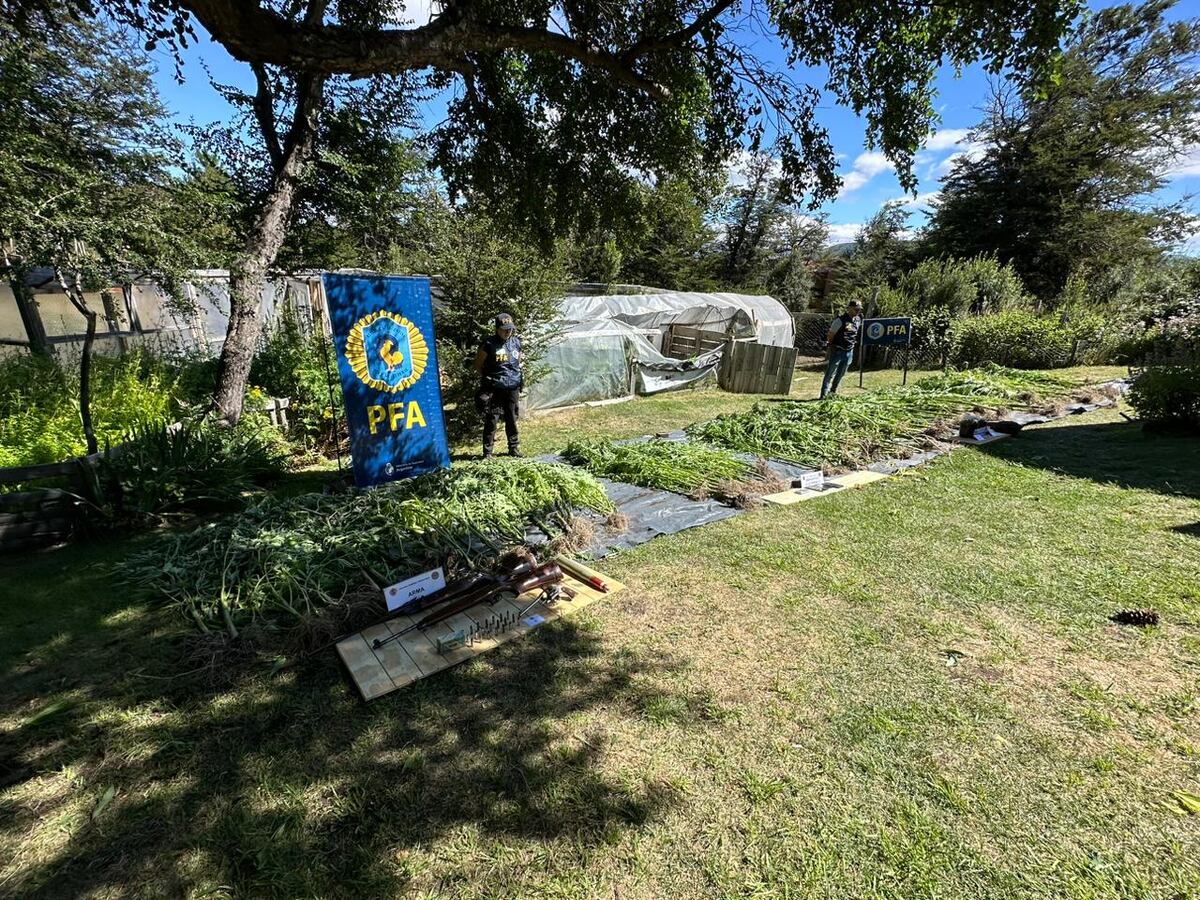 Marihuana secuestrada en San Martín de los Andes. (PFA)