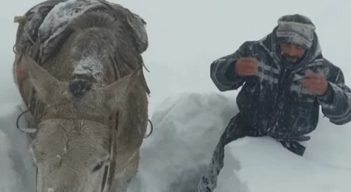 Nieve en la Patagonia