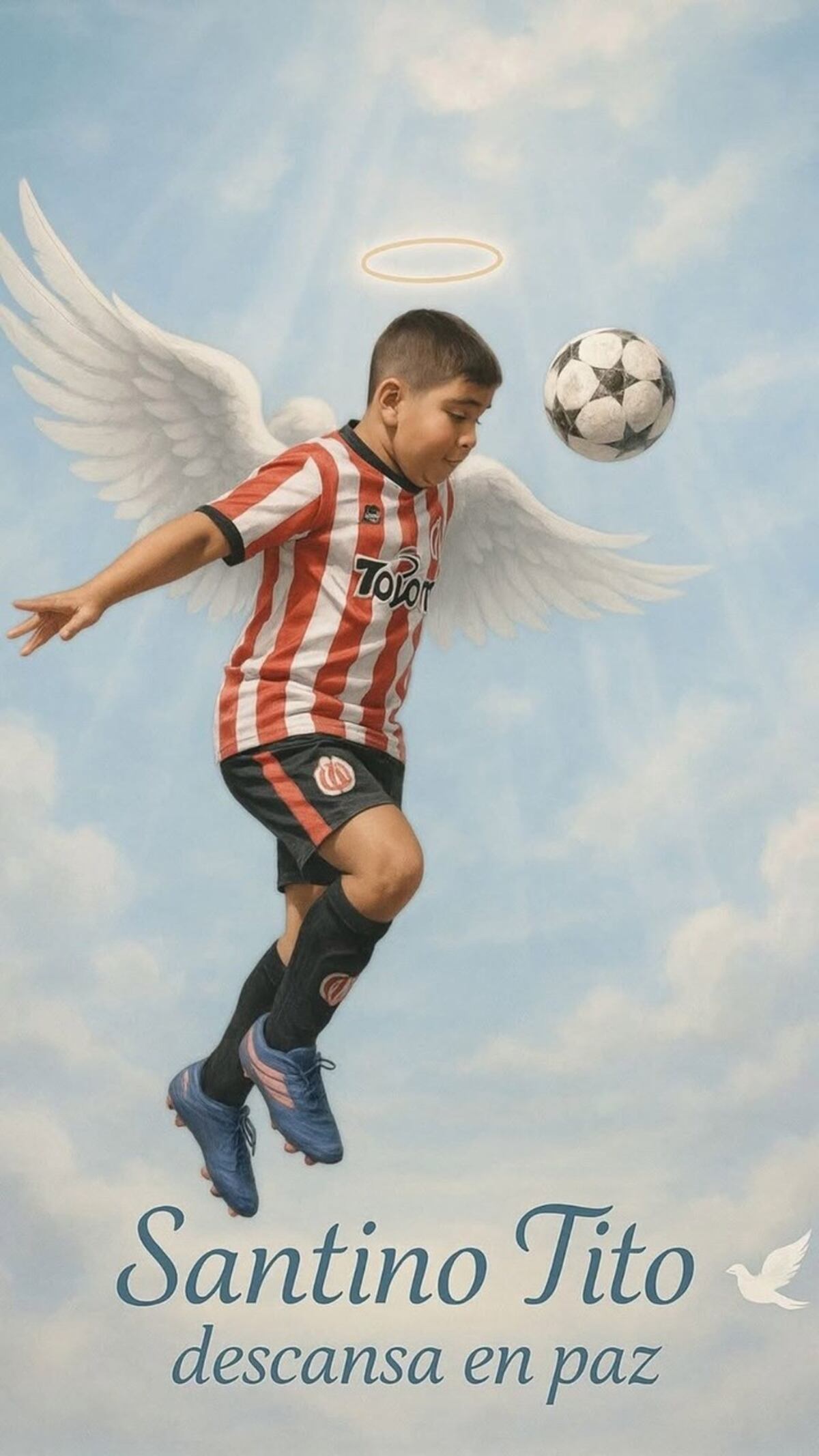 lleció un nene mendocino de 11 años cuando quiso buscar una pelota.