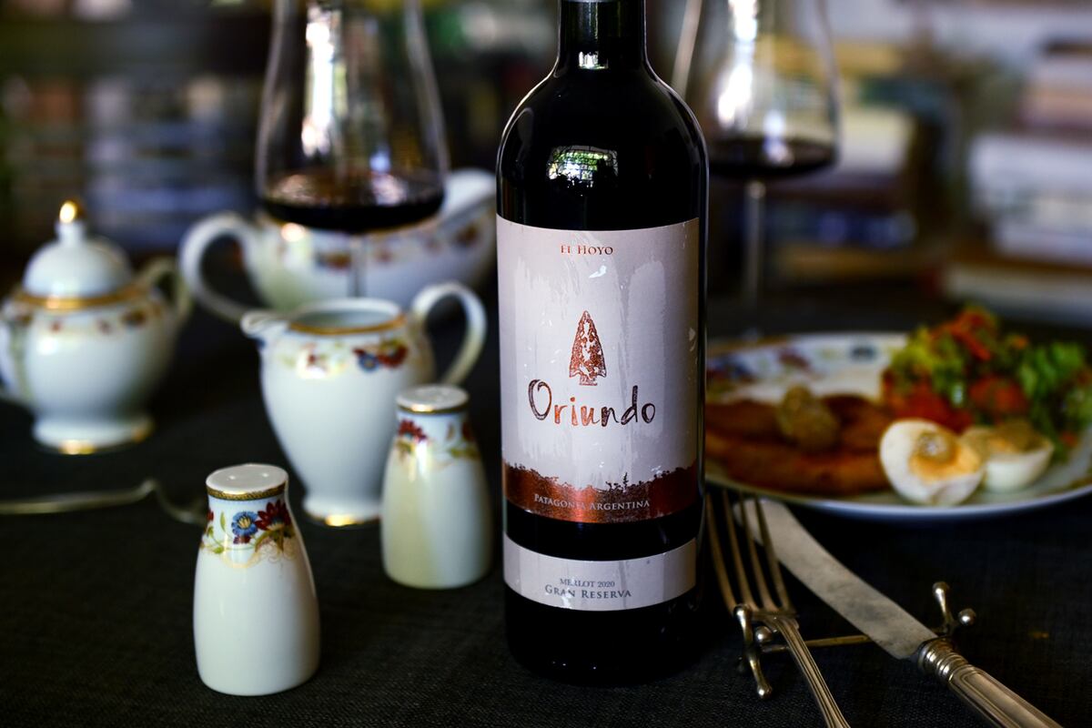 Oriundo Bodega Ayestarán Allard merlot 2020 Chubut (Javier Ferreyra).