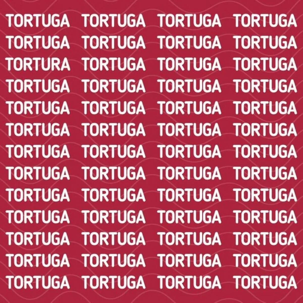El acertijo visual.
