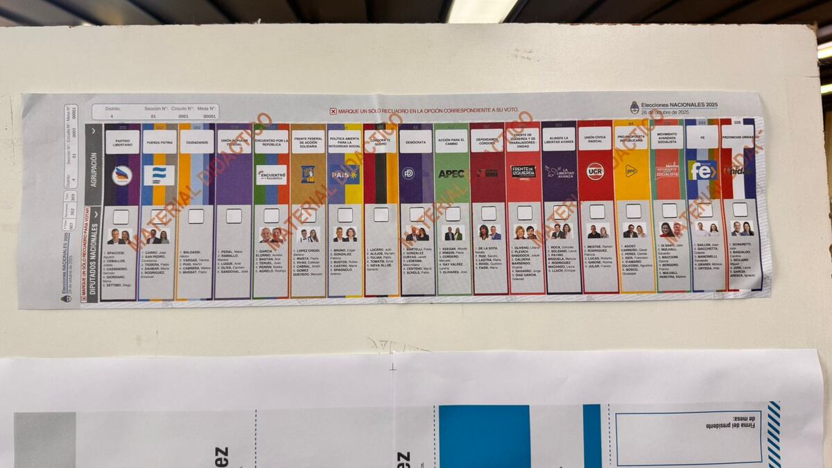 Elecciones 2025: imagen de la Boleta Única de Papel en Córdoba que podría ser modificada. (La Voz)