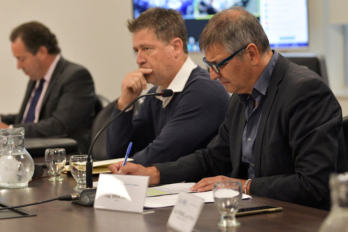 Legisladores de la Comisión de Salud. (Prensa Legislatura de Córdoba)