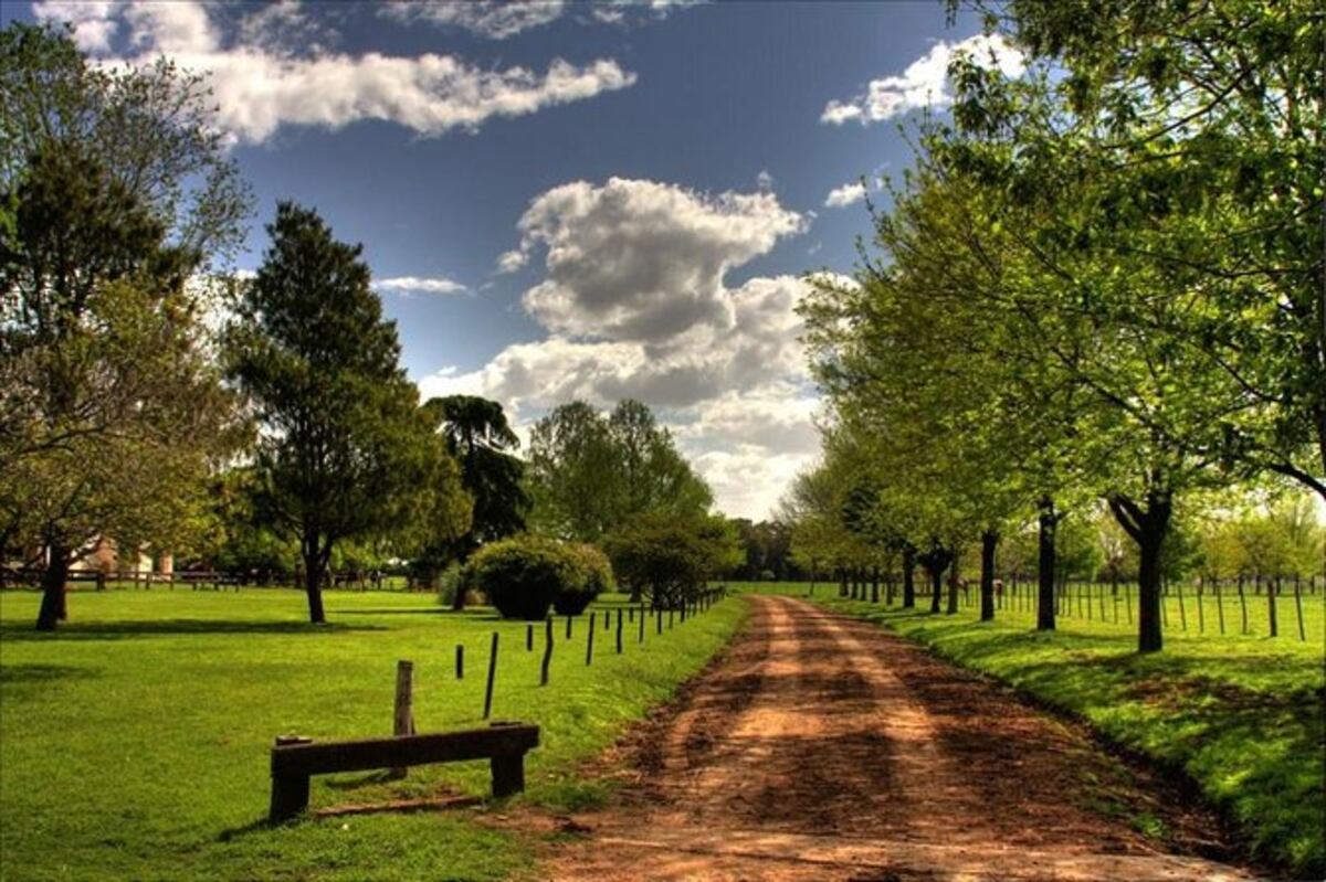 San Antonio de Areco, ideal para una escapada de fin de semana cerca de CABA
