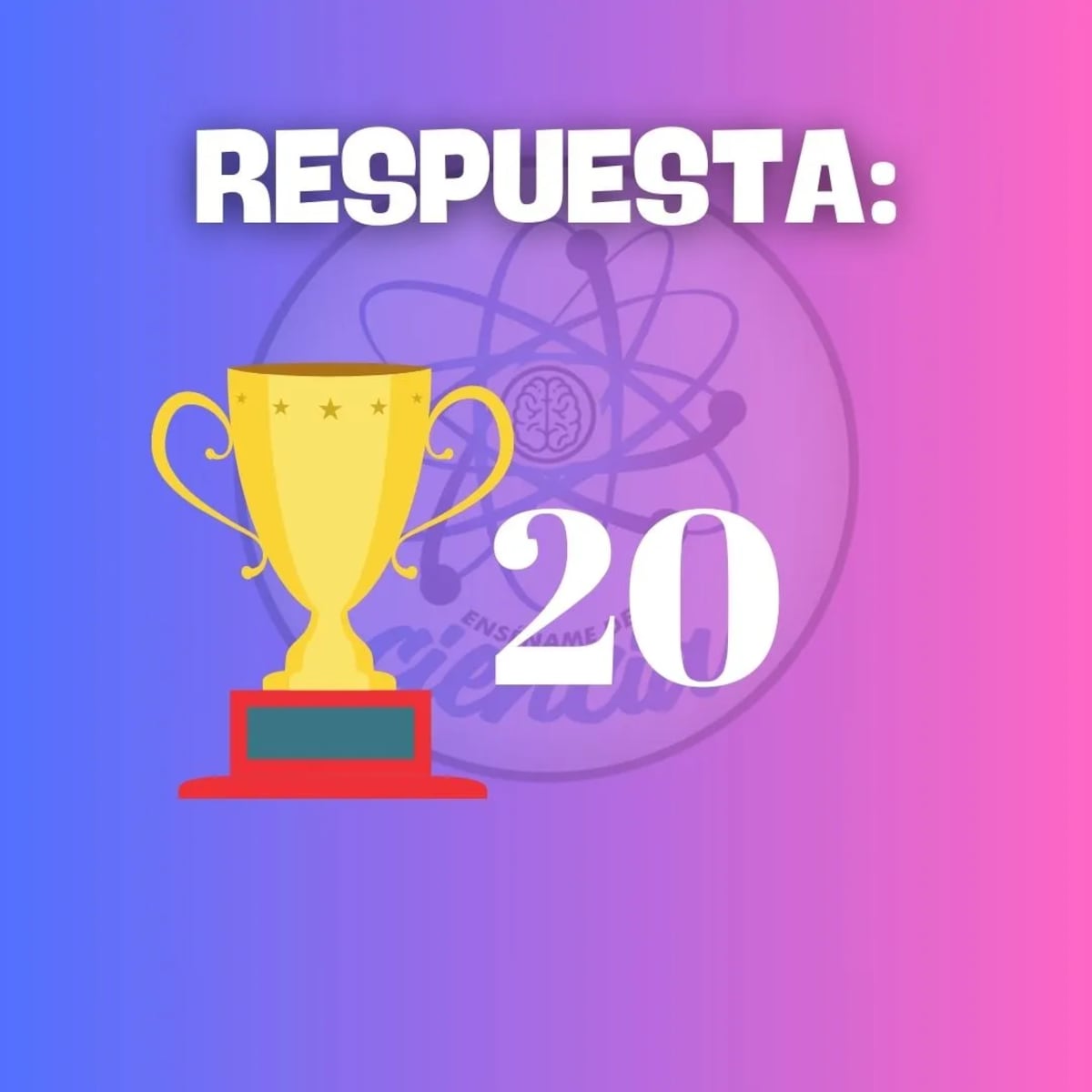 La solución del reto.