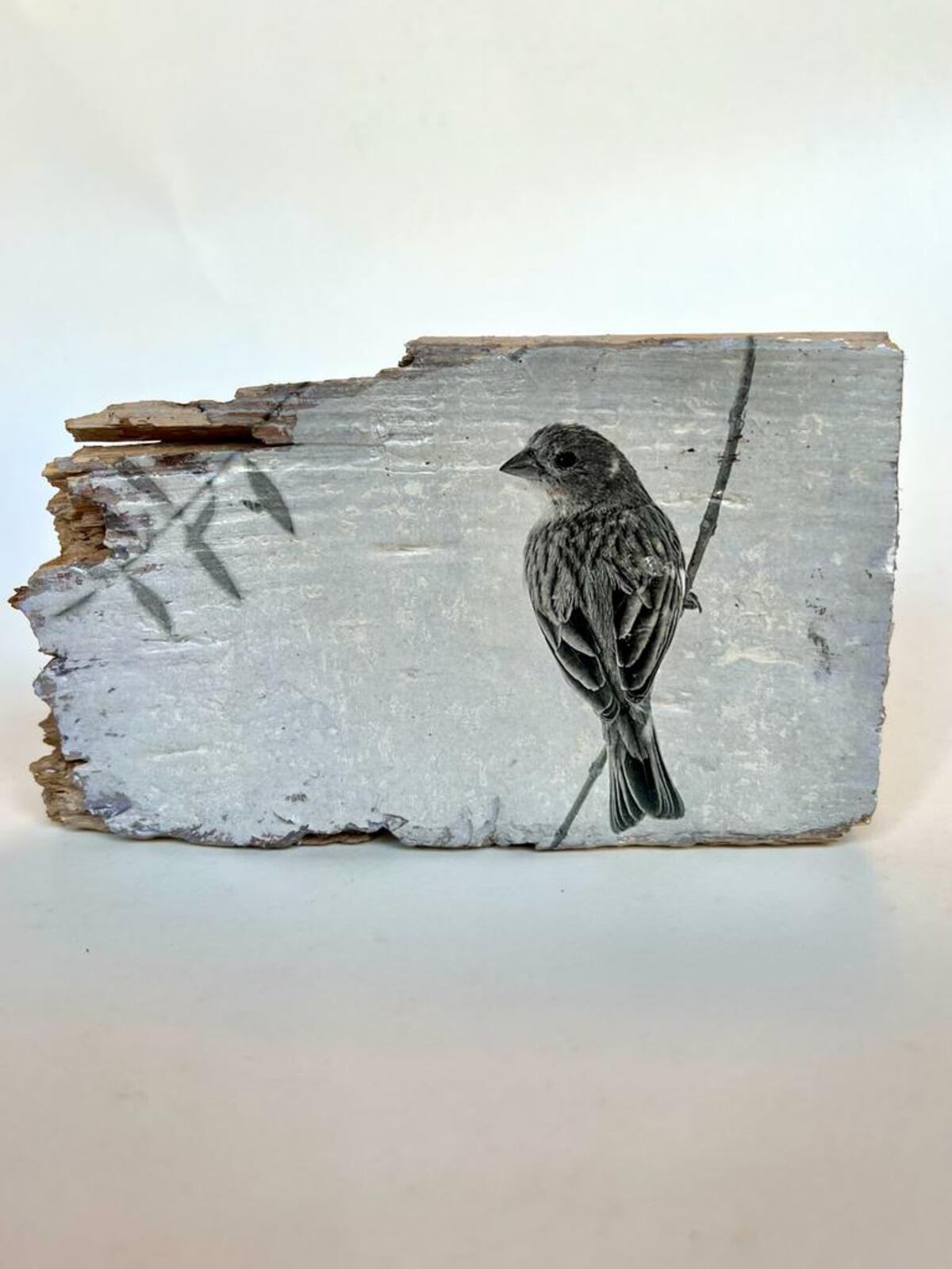 Obra de Valeria Canatta que integra la exposición.