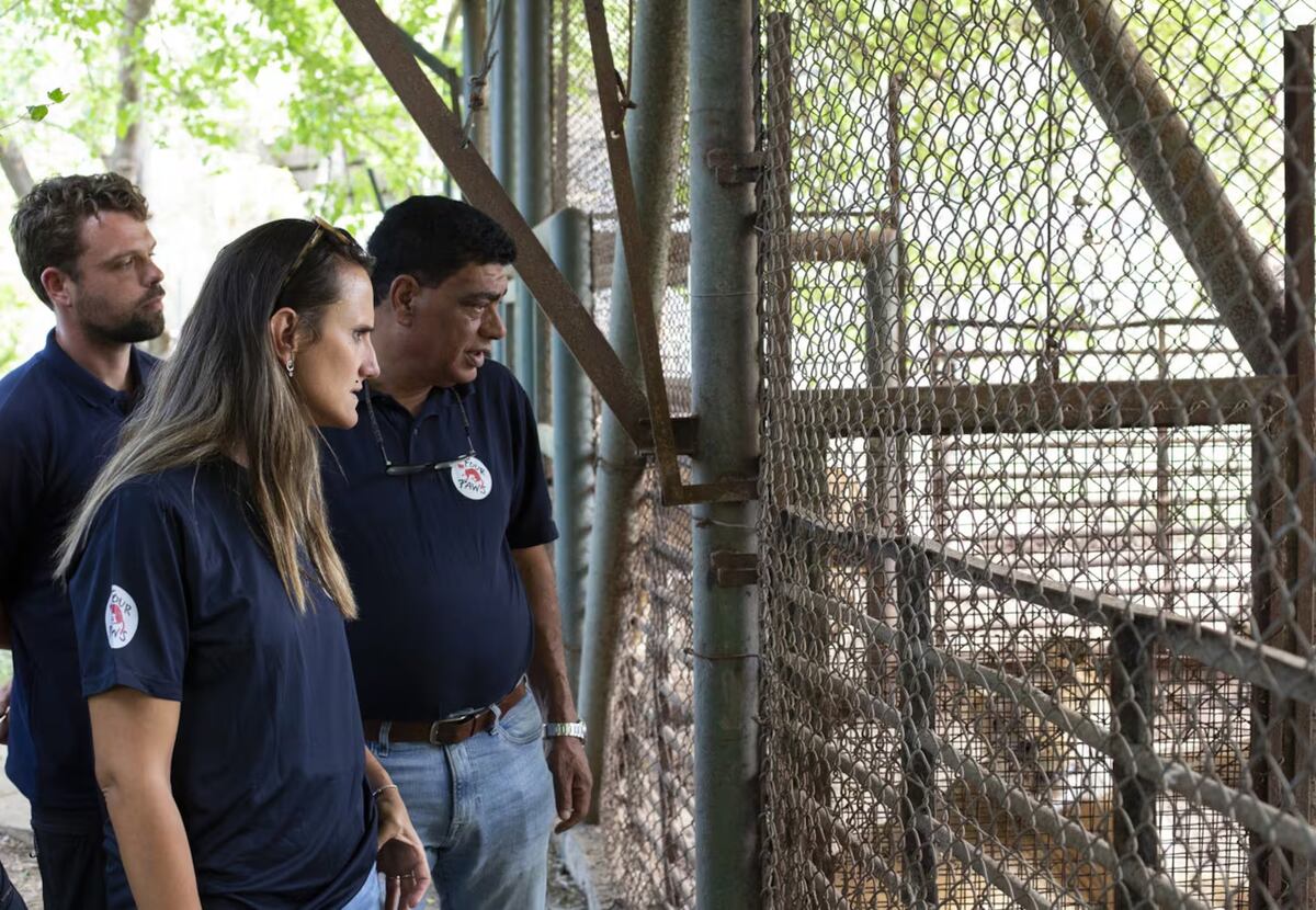 Rescatan a más de 60 animales del exzoológico de Luján. (Gentileza Four Paws)