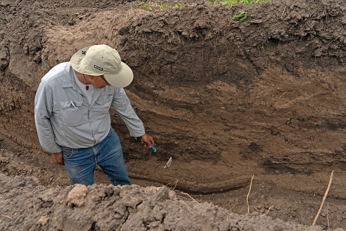 Trabajos de excavación en la Loma del Torito, cerca de La Perla, donde se encontraron fosas con restos humanos. (Gentileza Espacio para la Memoria La Perla)