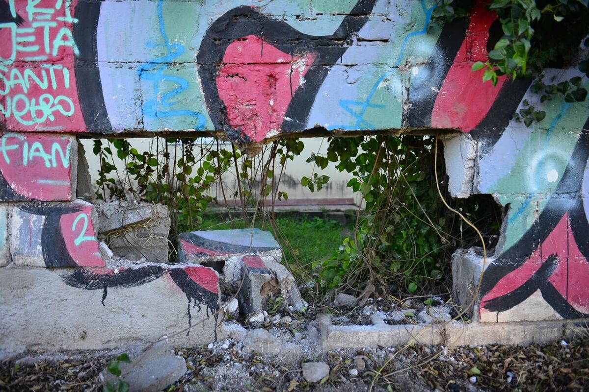 Robo a la escuela primaria Marta Alcira Salotti en barrio IPV arguello: ladrones hicieron un boquete.
Foto: Nicolás Bravo/La Voz