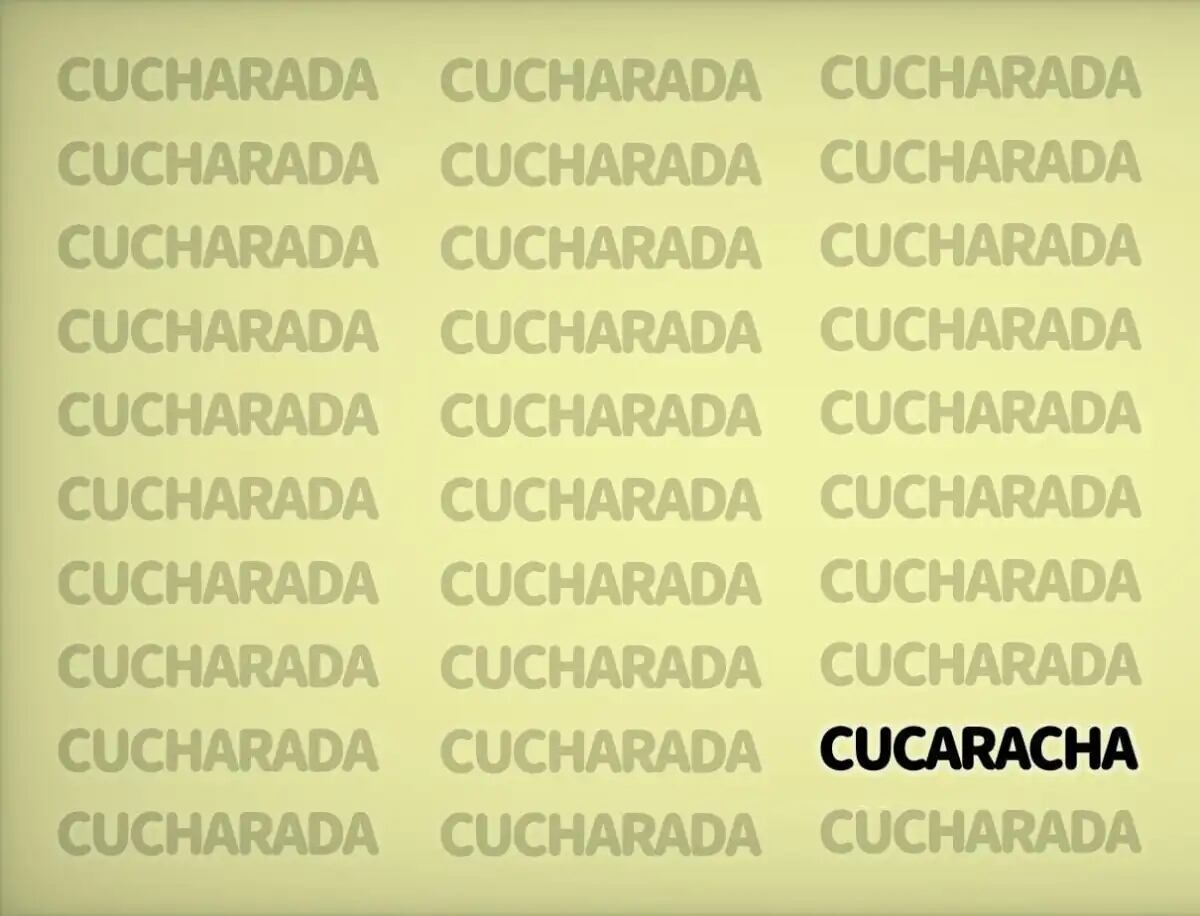 La solución del acertijo.