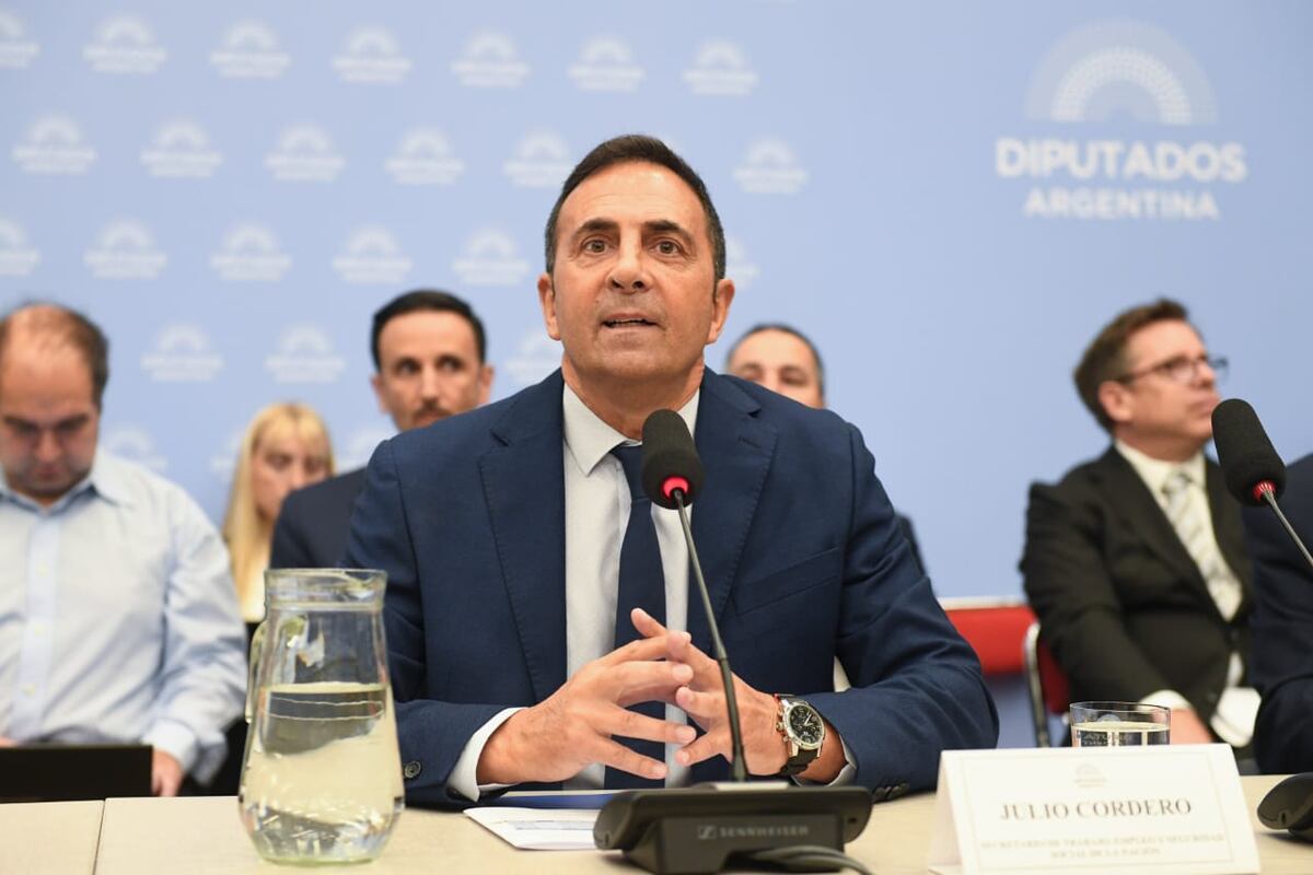 El secretario de Trabajo, Julio Cordero, expuso sobre el Presupuesto 2026 (Foto: HCDN)