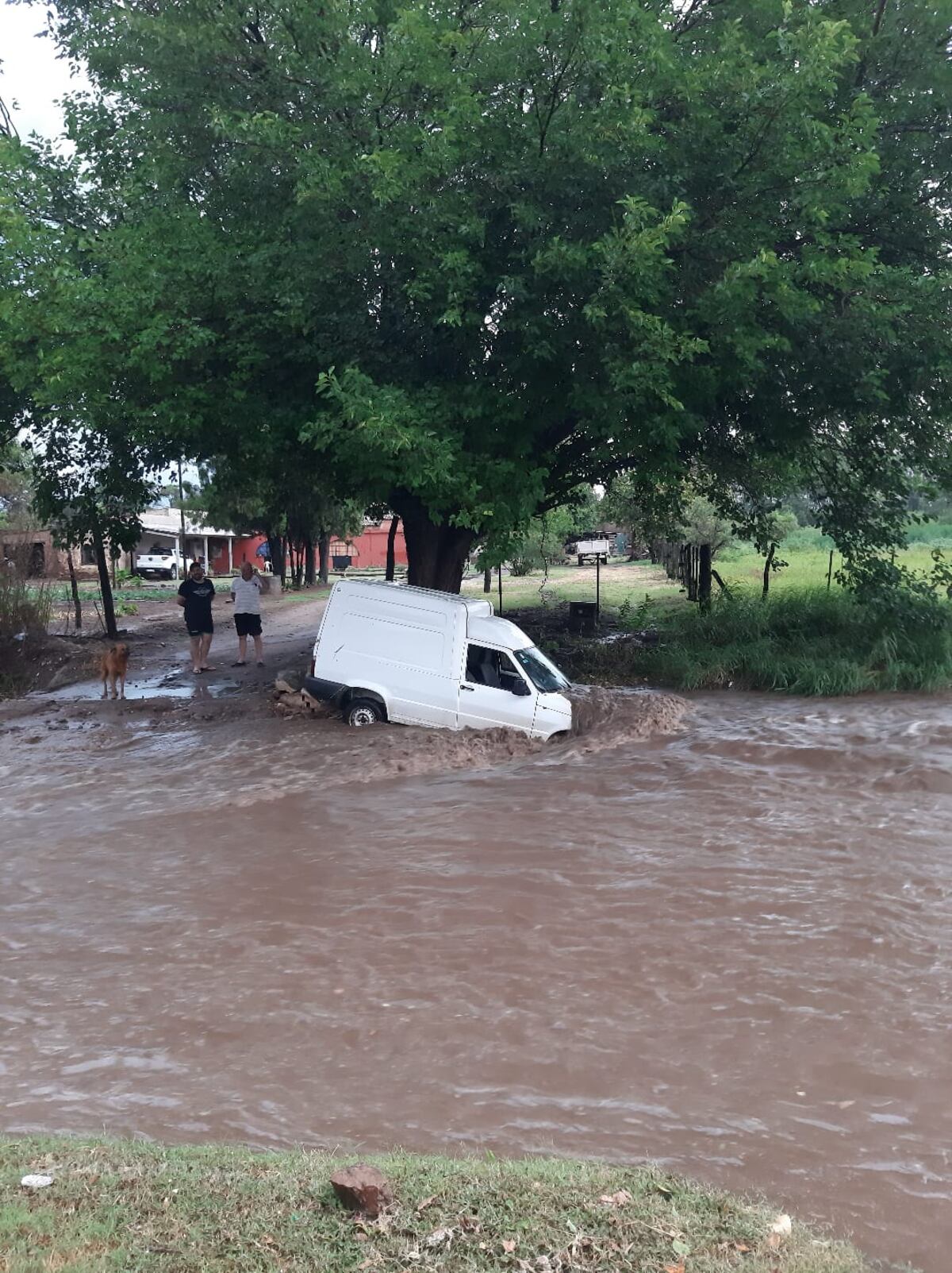 El Fiorino. (Policía)