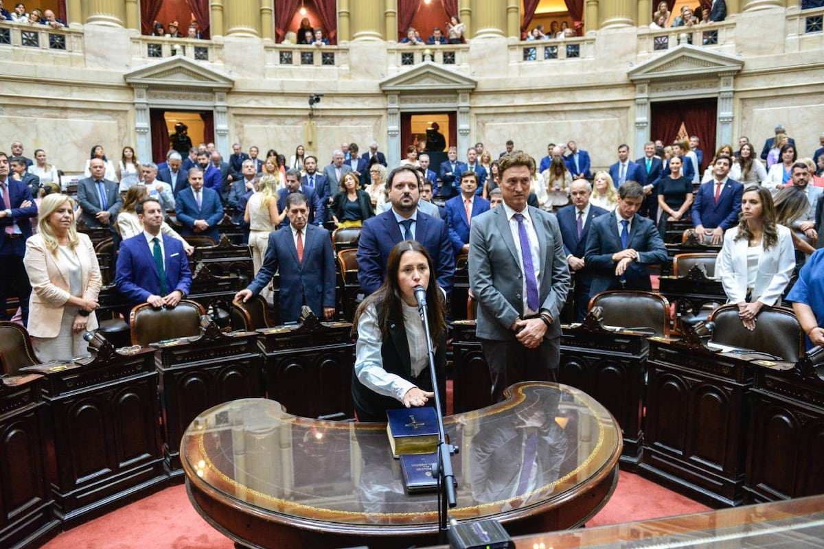 Diputados. Así juró Carolina Basualdo este miércoles 3 de diciembre.