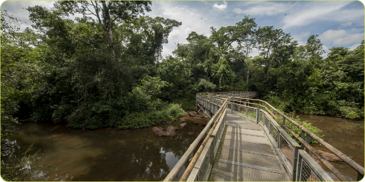 Caminos de doble vía. Dicen que una vez no basta y muchos vuelven a Iguazú. (Gentileza: Gobierno de Argentina)
