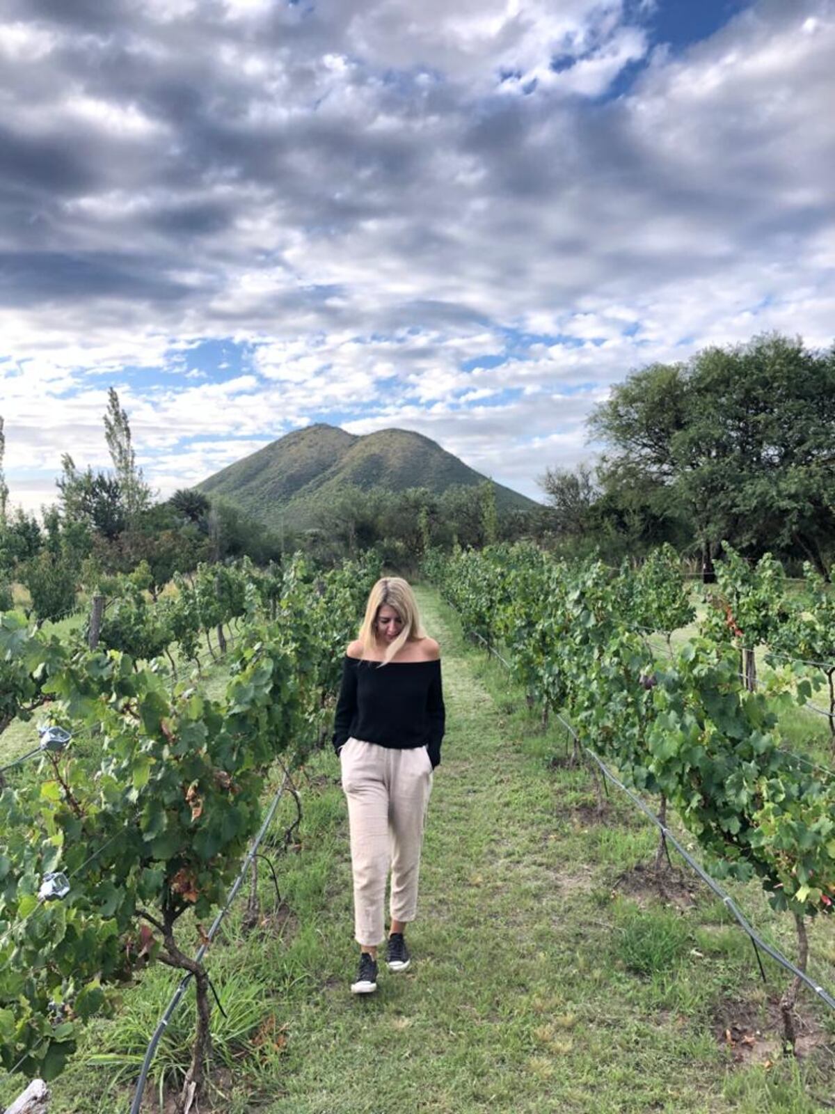 Desde la finca del Volcán se aprecia una vista privilegiada del cerro Ciénaga. (Gentileza: Romina Musso)