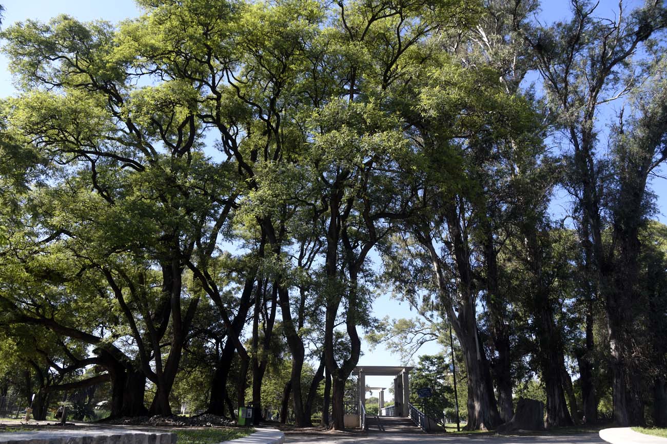 Otoño en el parque Sarmiento. (Ramiro Pereyra / LaVoz)
