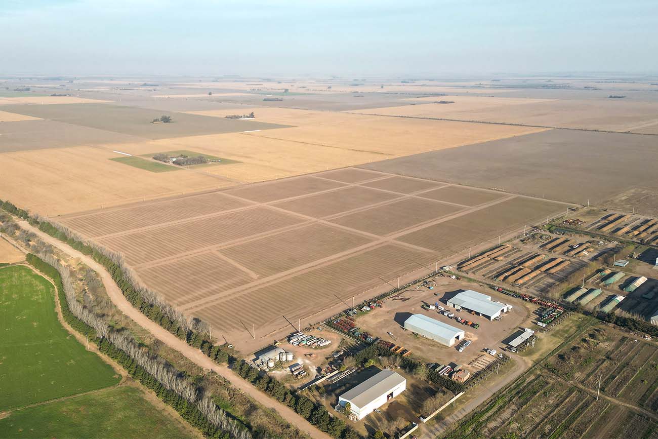 El nuevo parque industrial tendrá 44,5 hectáreas, en las que el municipio renovará su compromiso con la sustentabilidad.