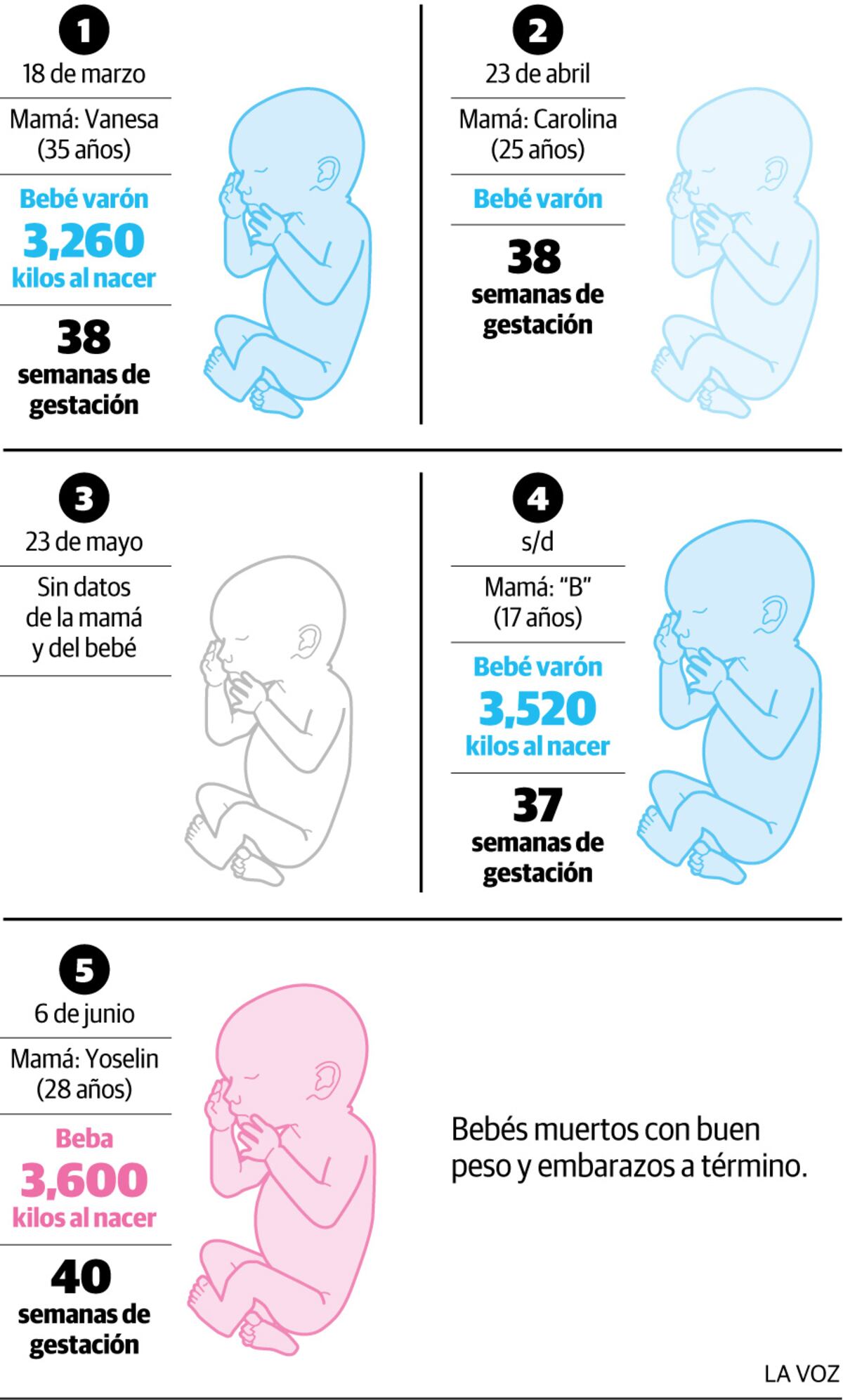 Infografía: Bebes fallecidos en el Neonatal