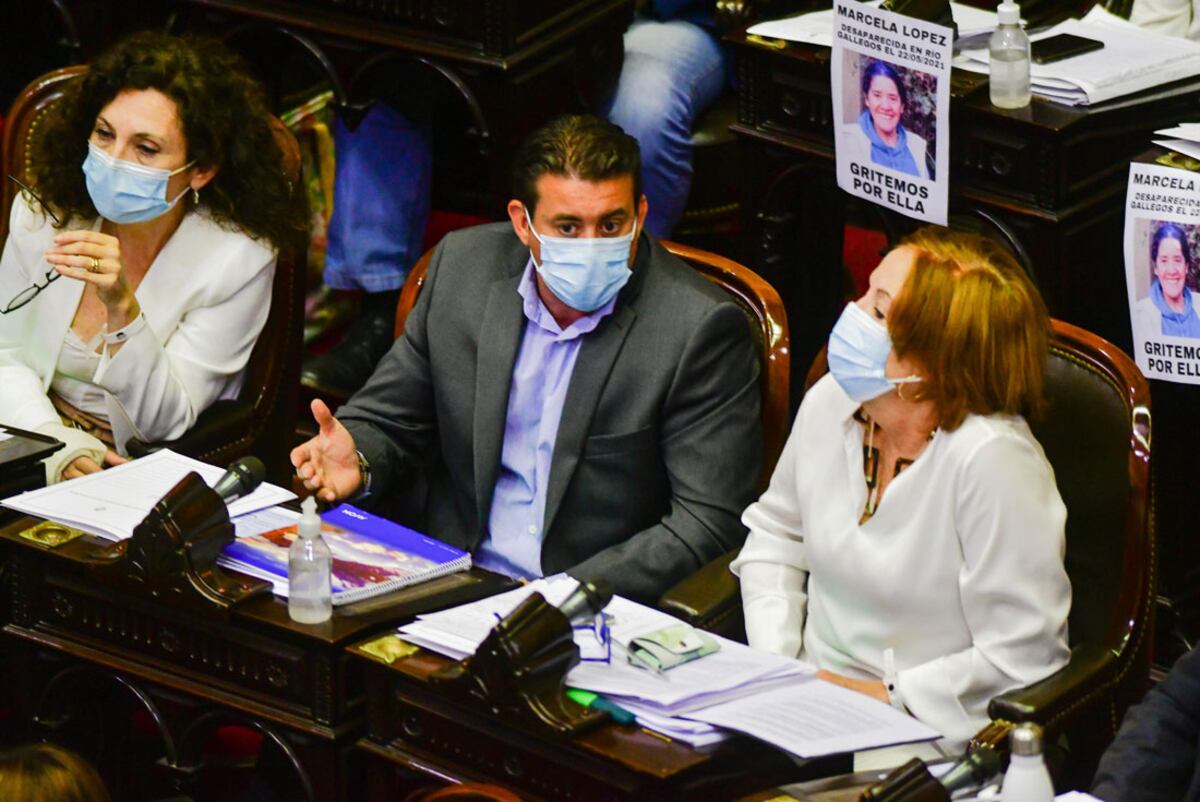 ID:6637591 El bloque Córdoba Federal por Gutiérrez , Pablo Cassinerio , Claudia Márquez y Alejandra Viggo sesion en diputados por la ley de etiquetado Foto Federico Lopez Claro